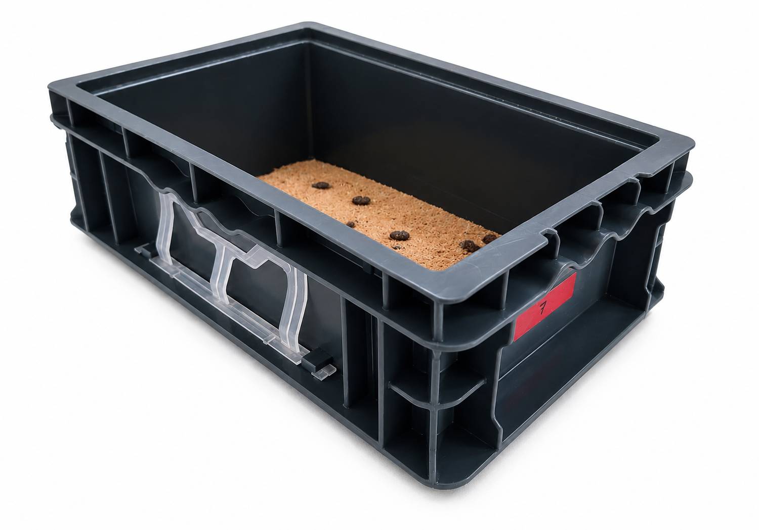 Infraestructura mínima — caja y equipo básico